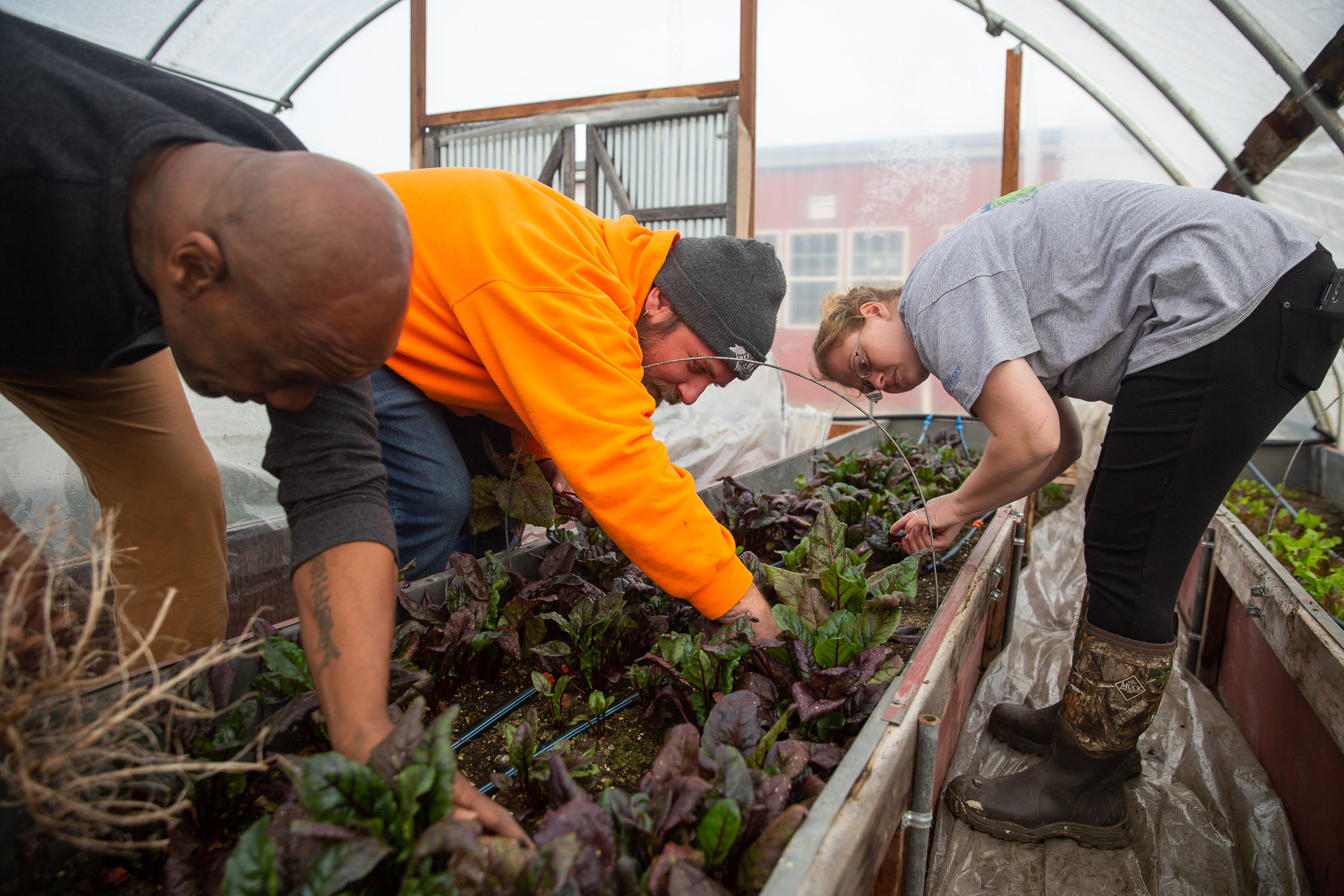 People gardening