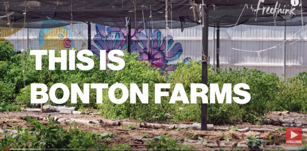 Bonton Farms Urban Farming Transforms Dallas Community