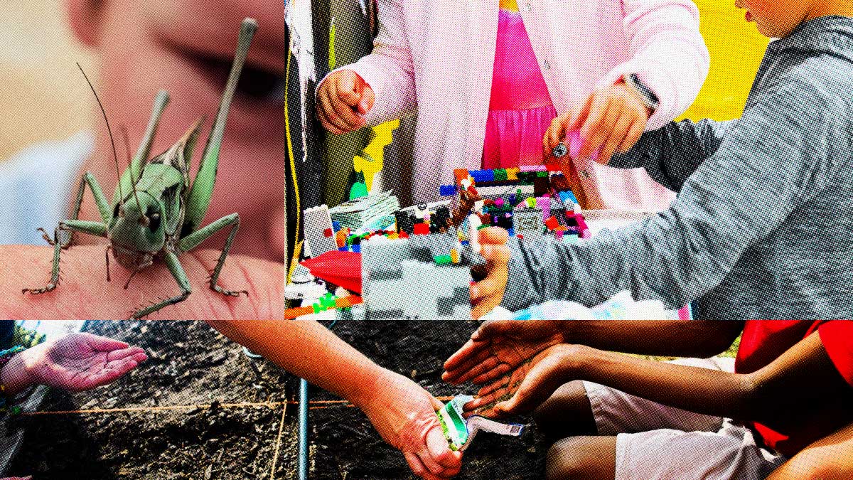 Collage featuring a close-up of a grasshopper, children playing with colorful Lego bricks, and hands gardening with soil.